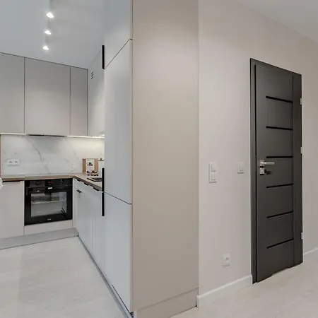 公寓 Swierzawska 波兹南