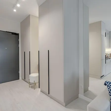 公寓 Swierzawska 波兹南